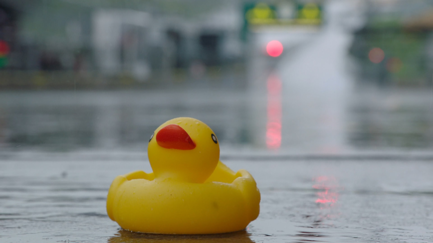FP3 washout: A good day for ducks
