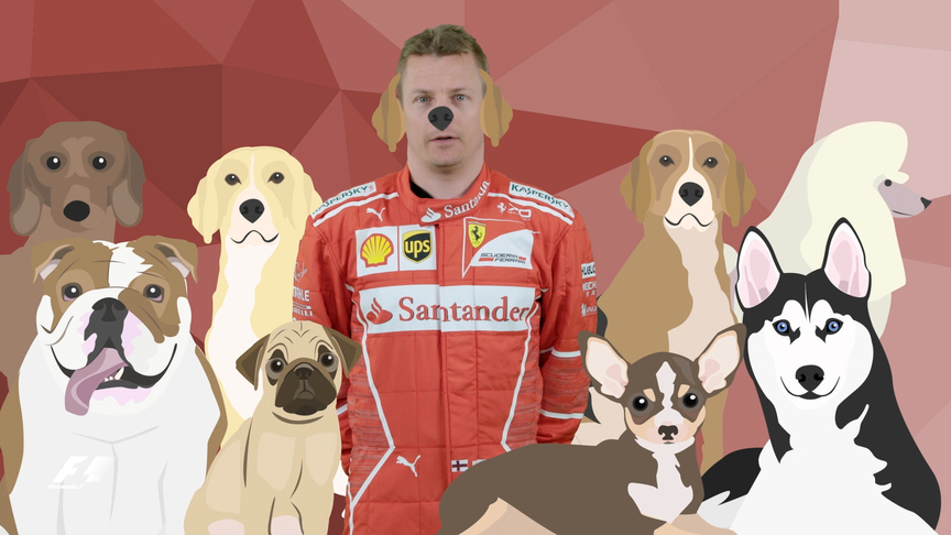 Quickfire F1 - What's your favourite animal?