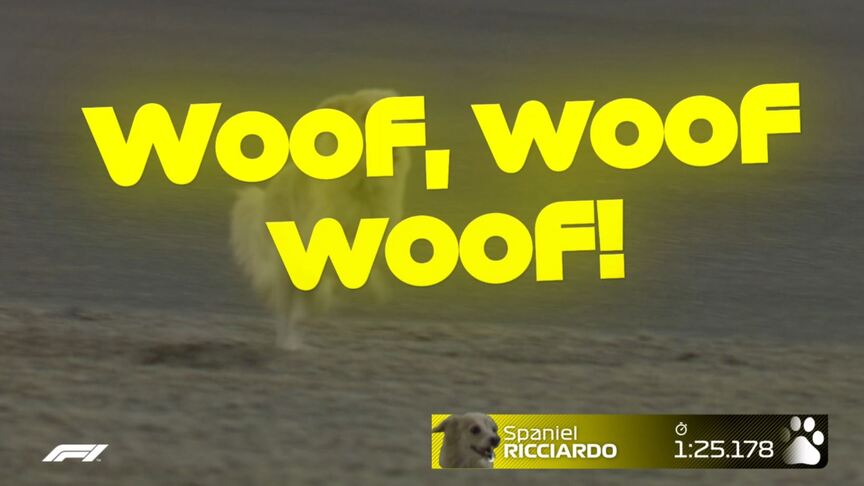 The best memes of the 2020 F1 season