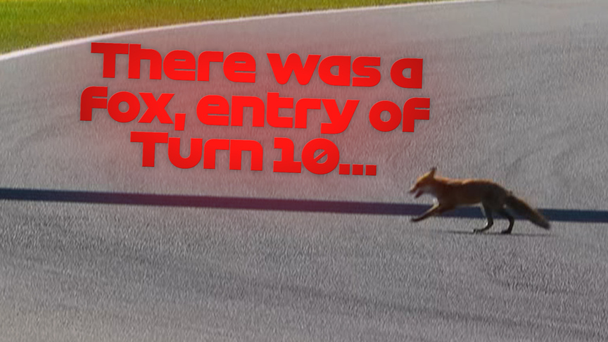 2025 Dutch GP Qualifying: Leclerc spots a fox on track