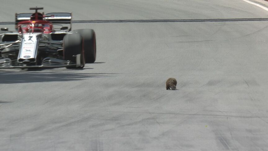 FP3: It's Raikkonen's turn for groundhog day