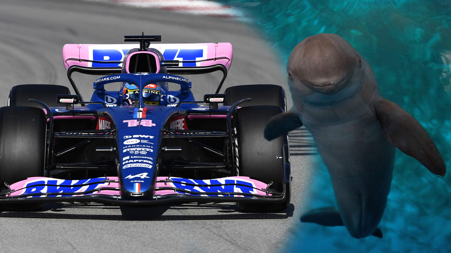 F1 pre-season track session 2022:  What is Porpoising?