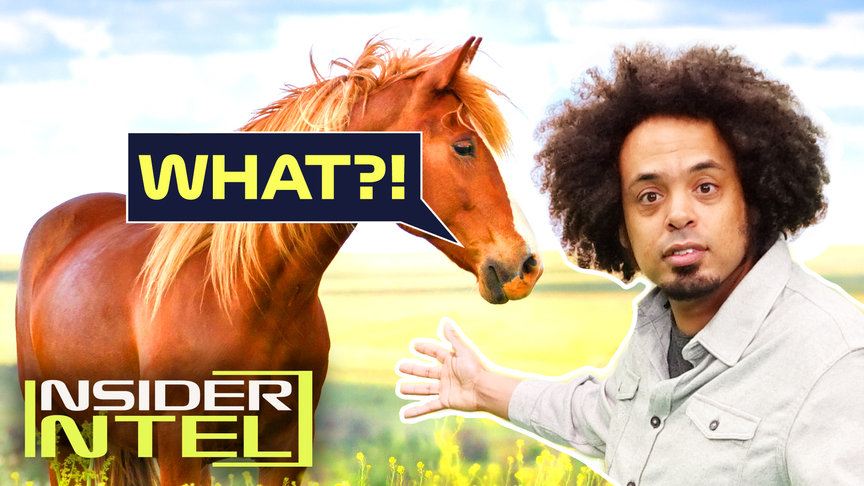 Insider Intel: Horses & F1? Sam Collins has the answers