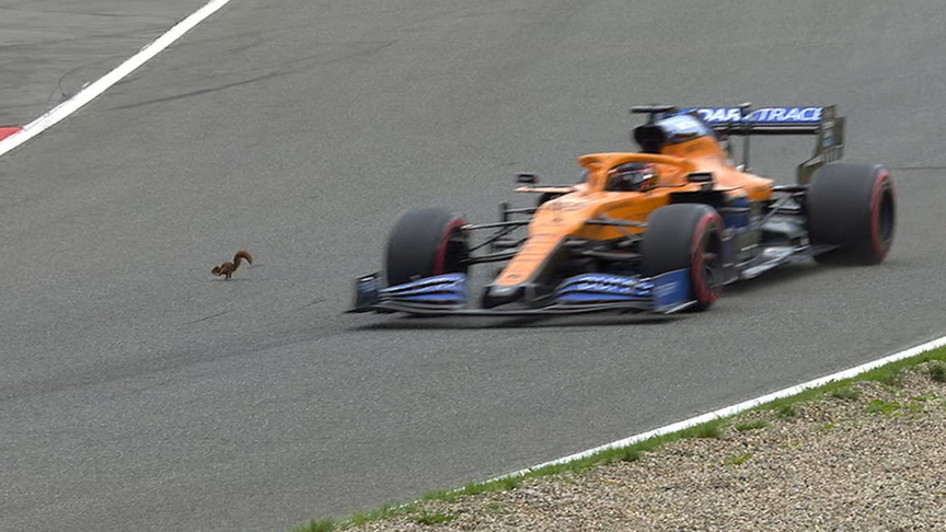 2020 Belgian GP Qualifying: Sainz's close encounter with a squirrel