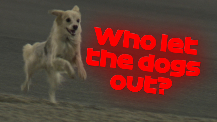 Say What? The best team radio from Bahrain 2020